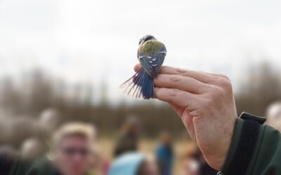 Teacher Professional Development Essential to Incorporating Inquiry-Based Learning in the Indoor and Outdoor Classroom